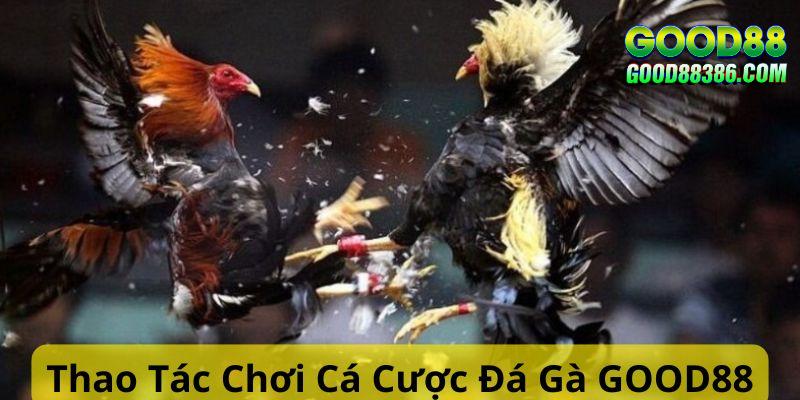 Thao tác tham gia chơi cá cược đá gà tại GOOD88 đơn giản 