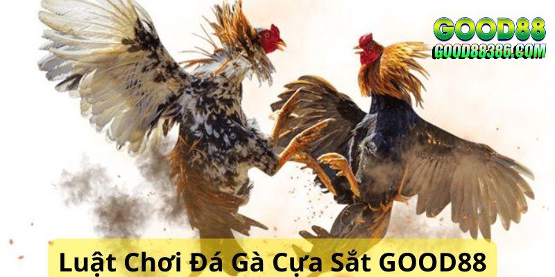 Luật chơi cơ bản và chi tiết về đá gà cựa sắt GOOD88 