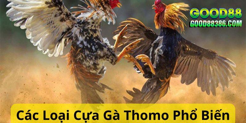 Điểm danh các loại cựa gà trong Thomo phổ biến hiện nay